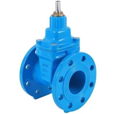 DN80 DN200 Y형 HDPE 파이프 PN16 유연 철 탄소 강철 게이트 밸브