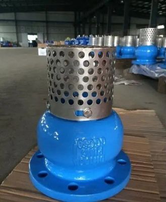 맞춤형 서비스 WCB Cast Iron Flanged End Foot Valve 내구성 및 유체 제어