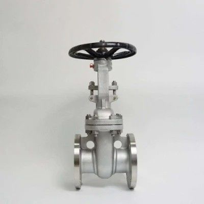 ANSI API 150Lb 300lb 3 인치 4 인치 Y 타입 수동 스테인레스 스틸 플랜지 게이트 밸브