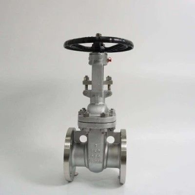 ANSI API 150Lb 300lb 3 인치 4 인치 Y 타입 수동 스테인레스 스틸 플랜지 게이트 밸브