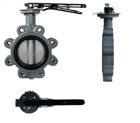 API609 EPDM 라인된 PTFE Cast Iron Lug 타입 웨이퍼 나비 밸브