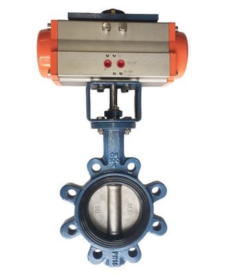 맞춤형 JIS 10k/5k PN10/16 알루미늄 브론즈 스테인리스 스틸 바디 EPDM NBR PTFE 좌석 럭 타입 나비