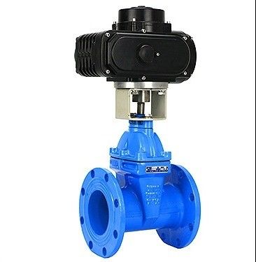 맞춤형 포트 크기 HT200 Cast Iron Flange 타입 게이트 밸브 유연 철 손바퀴