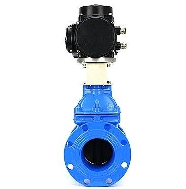 맞춤형 포트 크기 HT200 Cast Iron Flange 타입 게이트 밸브 유연 철 손바퀴