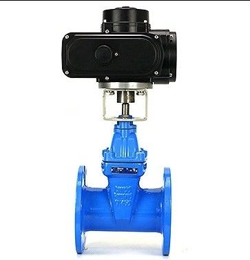 맞춤형 포트 크기 HT200 Cast Iron Flange 타입 게이트 밸브 유연 철 손바퀴