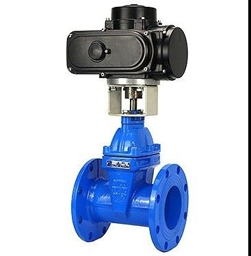DN150 PN16 WCB NKZ961H 전기 플랜지 진공 게이트 밸브 맞춤 요구 사항