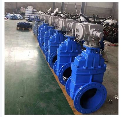 DN150 PN16 WCB NKZ961H 전기 플랜지 진공 게이트 밸브 맞춤 요구 사항
