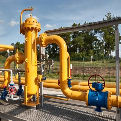 제조 공장 LPG 가스 채용 기계 저장 탱크 실린더와 함께 스키드 스테이션