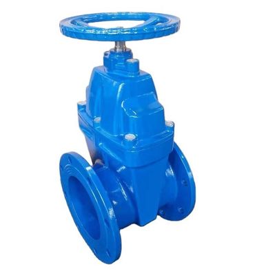Y형 DN40-DN1200 고압 스테인리스 스틸 가스 밸브 Pn16 Pn10 Z41 게이트 밸브