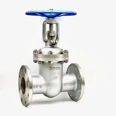 Y형 DN40-DN1200 고압 스테인리스 스틸 가스 밸브 Pn16 Pn10 Z41 게이트 밸브