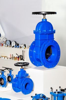 Y형 구조 ANSI/API/ASTM/ASME/WCB 플랜지 볼 글로브 체크 버터플리 게이트 밸브