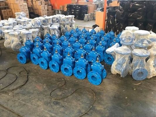 사용 가능한 OEM 게이트 밸브 BS515 DIN F4 F5 AWWA 고무 봉인