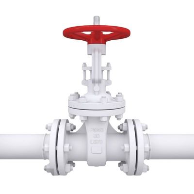 OEM 포트 크기 사용자 정의 서비스 Pn16 Cast Iron Ductile Iron Flanged Swing Check Valve