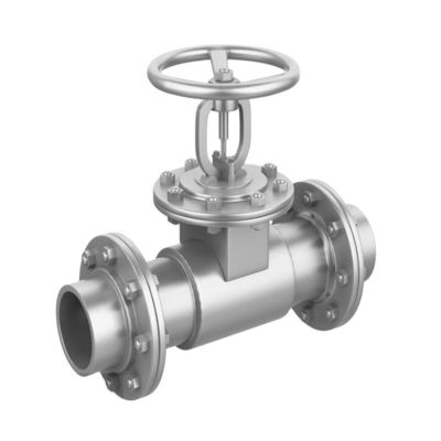 OEM 포트 크기 사용자 정의 서비스 Pn16 Cast Iron Ductile Iron Flanged Swing Check Valve