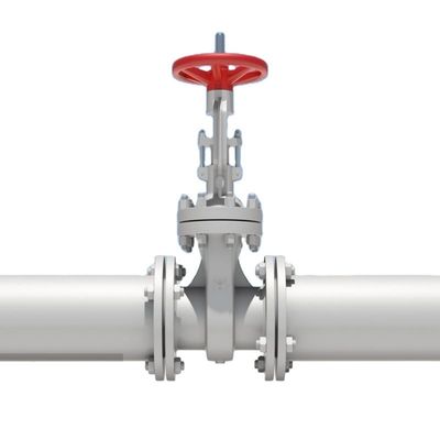 OEM 포트 크기 사용자 정의 서비스 Pn16 Cast Iron Ductile Iron Flanged Swing Check Valve