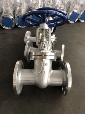 WCB DN500 PN25 게이트 밸브