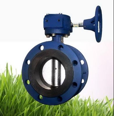 맞춤형 Cast Iron Swing Check Valve/Air Valve/Double Eccentric Manual 산업 플랜지 버터플라이 밸브