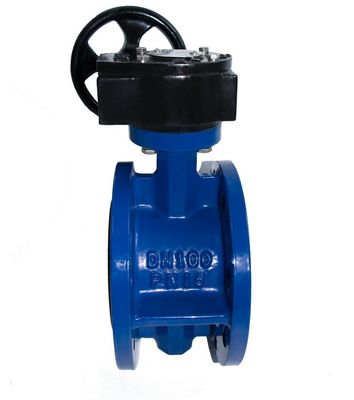 맞춤형 Cast Iron Swing Check Valve/Air Valve/Double Eccentric Manual 산업 플랜지 버터플라이 밸브