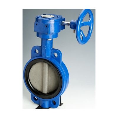 OEM Cast Iron Wormgear Operator Double Flange EPDM/NBR 좌석 스테인리스 스틸 디스크 루그 웨이퍼 나비 밸브