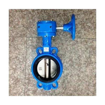OEM Cast Iron Wormgear Operator Double Flange EPDM/NBR 좌석 스테인리스 스틸 디스크 루그 웨이퍼 나비 밸브
