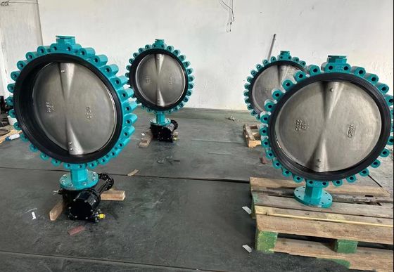 맞춤형 DN300 융통성 Cast Iron 탄소 스틸 Fully Lug 웨이퍼 타입 나비 밸브