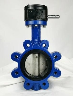 OEM 지원 PN10/16 Cast Iron Lug 타입 나비 밸브 맞춤 서비스