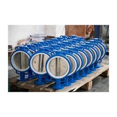효율적으로 설계 된 웨이퍼 라그 나비 밸브 EPDM PTFE PFA 고무 부착