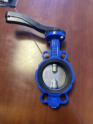 200mm PTFE 배열 된 나비 밸브 산업용에서 수동 작동