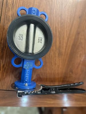 200mm PTFE 배열 된 나비 밸브 산업용에서 수동 작동
