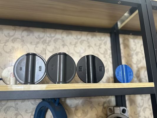 OEM 포트 크기 Cast Iron 확장 나비 밸브 지원 후 판매 서비스