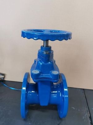 물 매체 DN600 PPR OEM 유연성을 제공하는 장착 게이트 밸브