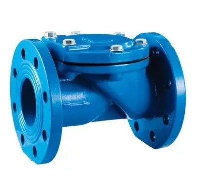 중온도 DN100 Pn16 OEM 지원용 아신 주철 고무 플래퍼 체크 밸브