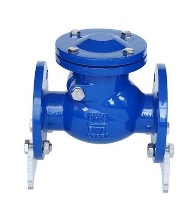 CI/DI/WCB/SS DN250 PN16 플랜지 엔드 파이어 스윙 체크 밸브
