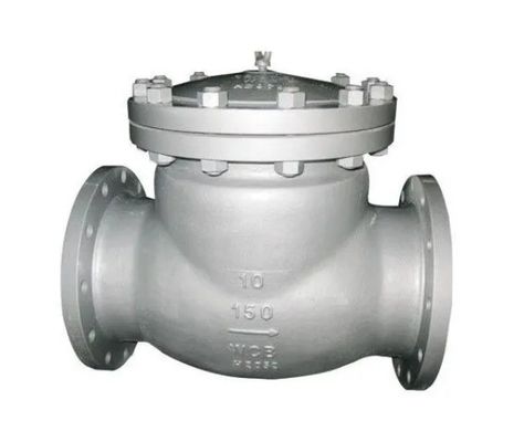 CI/DI/WCB/SS DN250 PN16 플랜지 엔드 파이어 스윙 체크 밸브