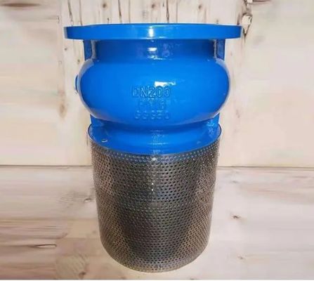 맞춤형 서비스 WCB Cast Iron Flanged End Foot Valve 내구성 및 유체 제어