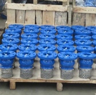 맞춤형 서비스 WCB Cast Iron Flanged End Foot Valve 내구성 및 유체 제어