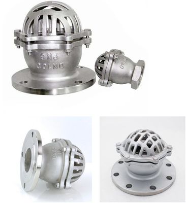 물 매체 애플리케이션을 위한 맞춤형 디자인 Cast Iron Foot/Bottom Valves