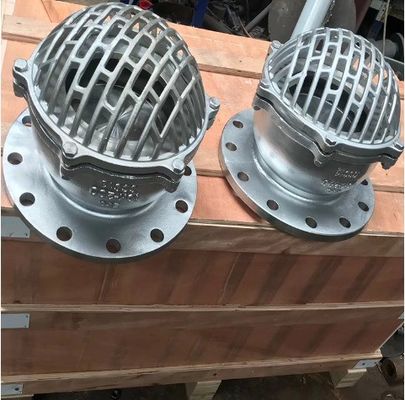 물 매체 애플리케이션을 위한 맞춤형 디자인 Cast Iron Foot/Bottom Valves