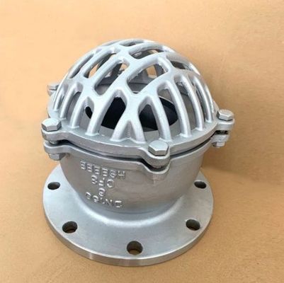 물 매체 애플리케이션을 위한 맞춤형 디자인 Cast Iron Foot/Bottom Valves