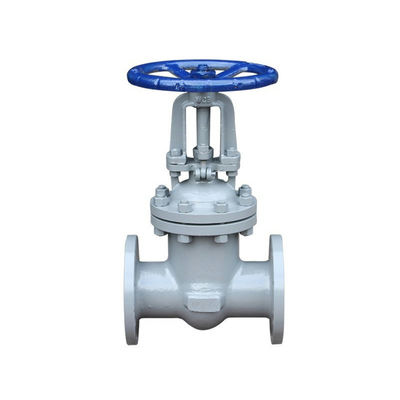 맞춤형 ANSI PN16 80mm 100mm 200mm 수동 Cast Iron Flanged 타입 게이트 슬루이스 밸브