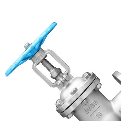 주사철 ASTM A216-WCB 상승 줄기 플랑자드 게이트 밸브 사용자 정의 포트 크기 OEM